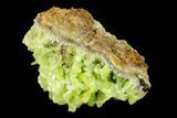 Vibrant Green Pyromorphite Crystal Cluster - China #146671-1